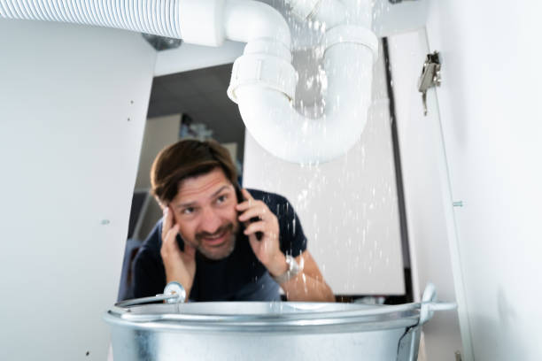 Best Emergency Plumber  in Ruskin, FL